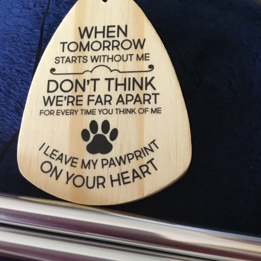 Wind Chimes with Sympathy ~ Wind Outside Garden Decor Gifts ~ pet remembrance